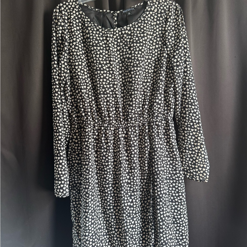 J. Crew Mercantile Black and White Long Sleeve Dress